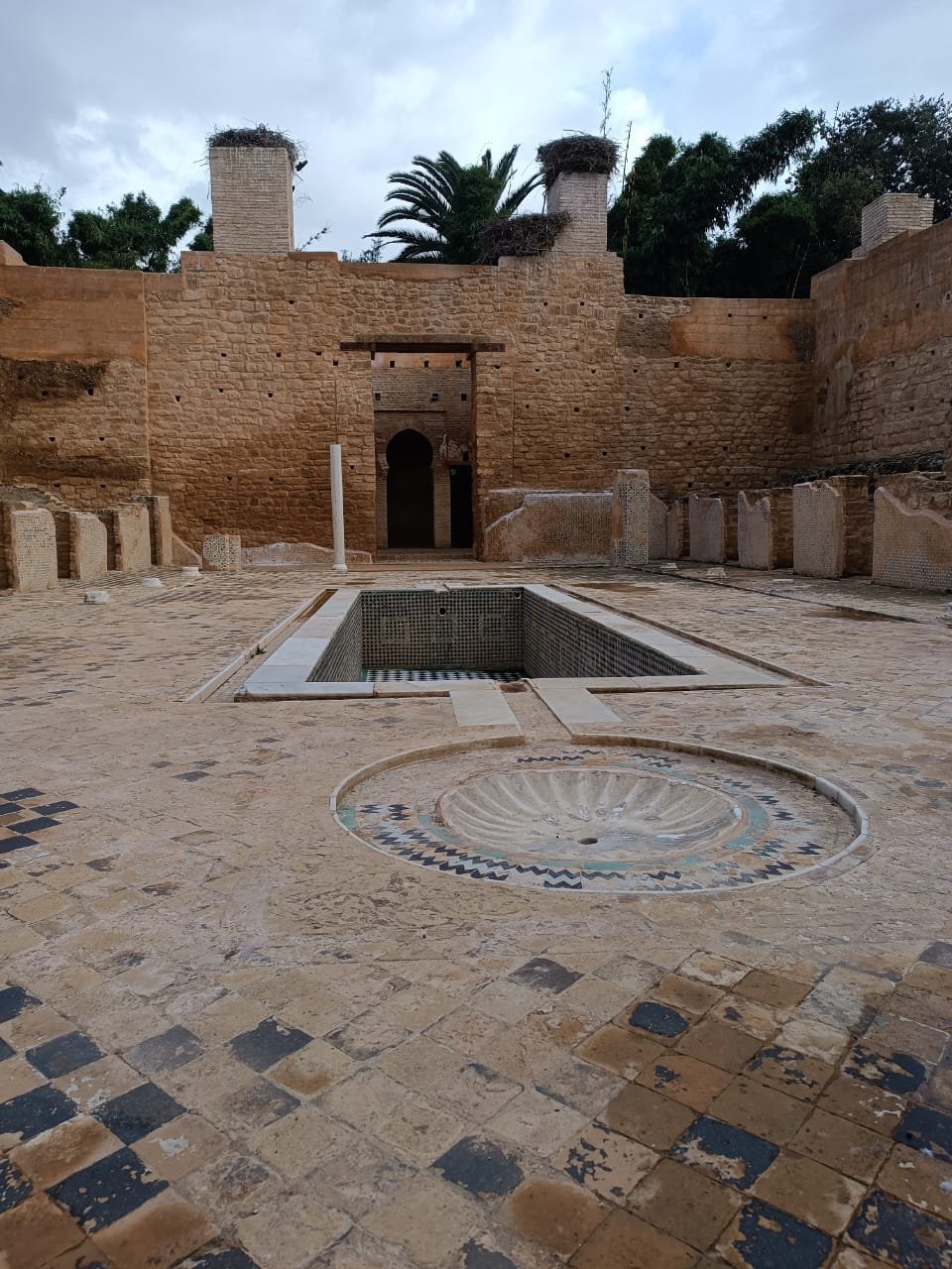 WhatsApp Image 2024-11-14 at 18.34.53 (1)