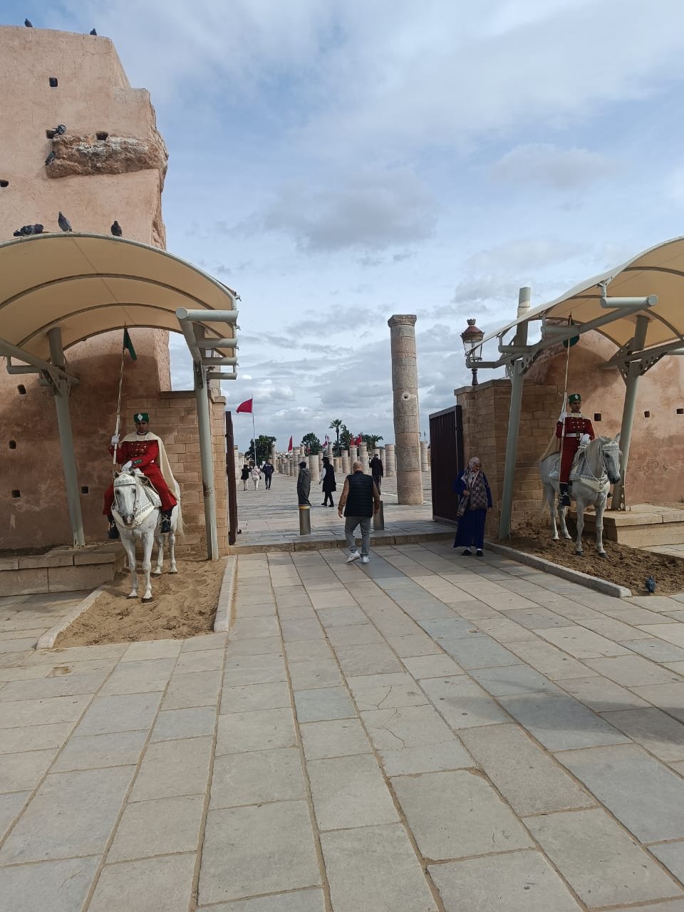 WhatsApp Image 2024-11-14 at 18.34.54 (2)