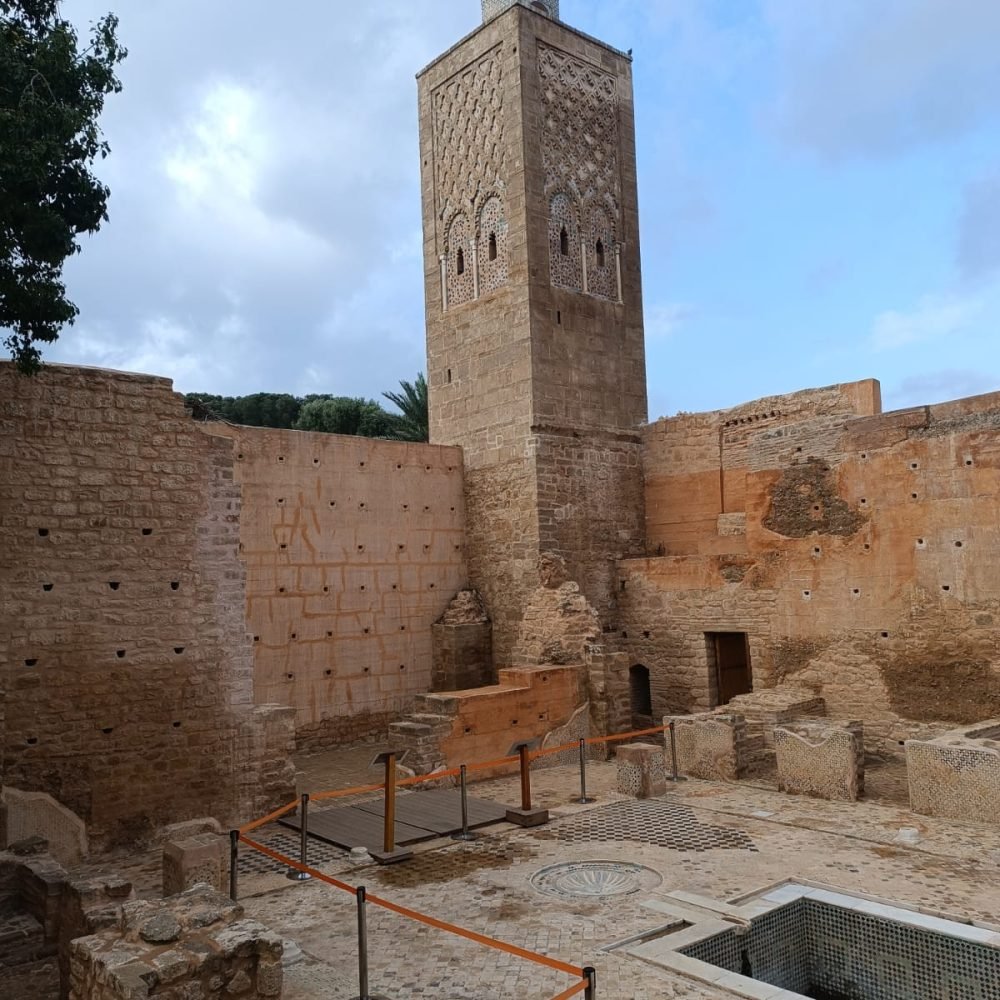 Home 1 57 WhatsApp Image 2024-11-06 at 12.00.19 (1)