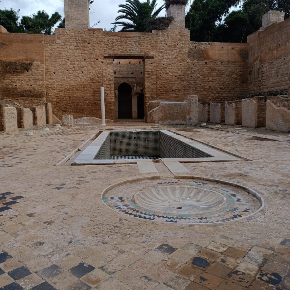 Home 1 56 WhatsApp Image 2024-11-06 at 12.00.19 (2)