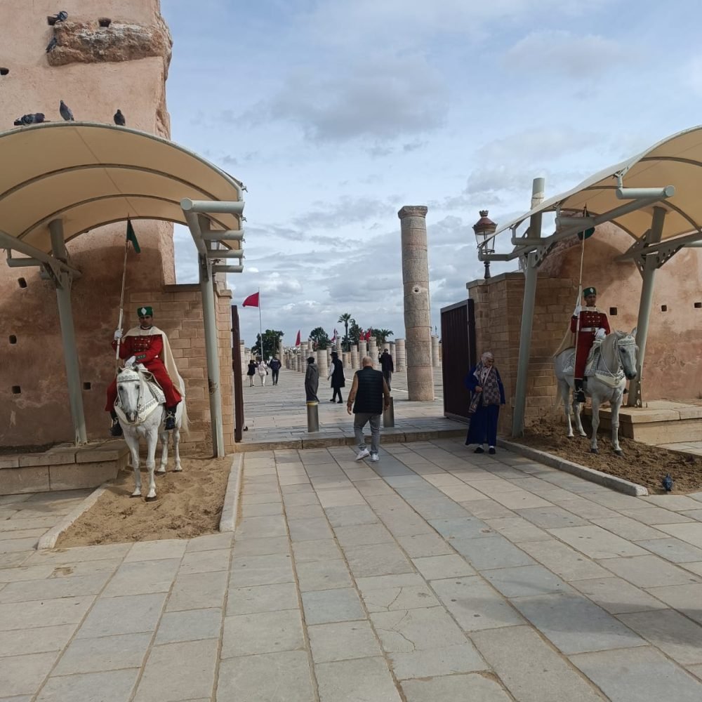 Home 1 52 WhatsApp Image 2024-11-06 at 12.00.20 (3)