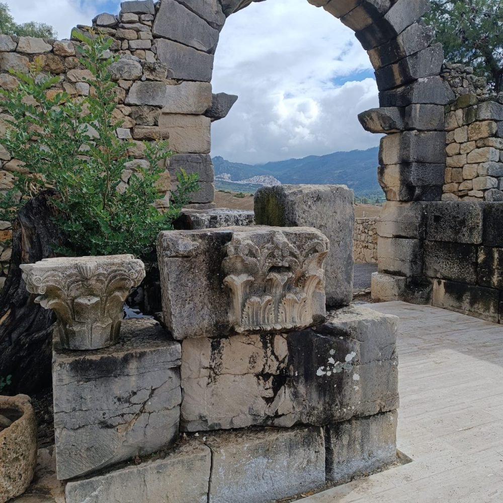 Home 1 48 WhatsApp Image 2024-11-06 at 12.00.21 (1)