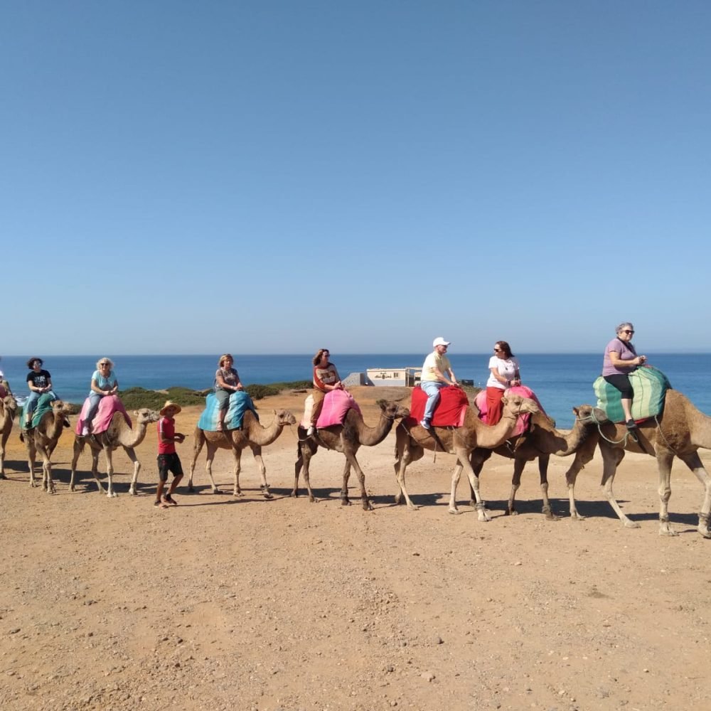 Home 1 25 WhatsApp Image 2024-11-06 at 21.52.10 (2)